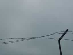 fence