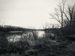river-2