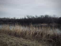 river