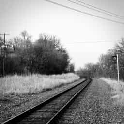 tracks