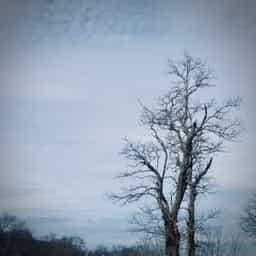 2025-02-02.jpeg