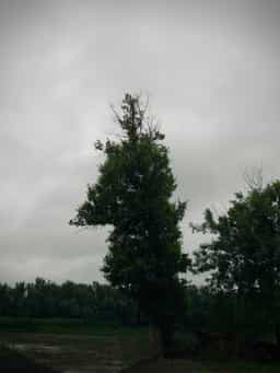 2025-06-03.jpeg