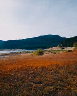 land-2