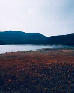 land